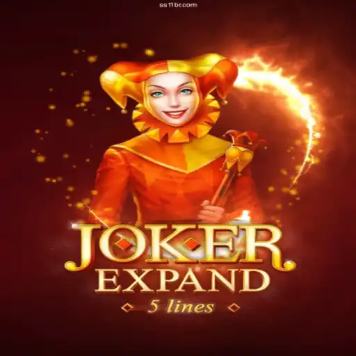 Explore JokerExpand: The Innovative Arcade Experience